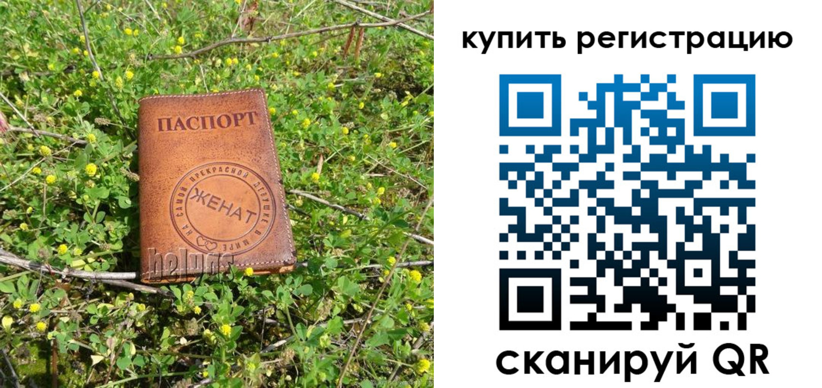 временная регистрация купить в Щёлкино